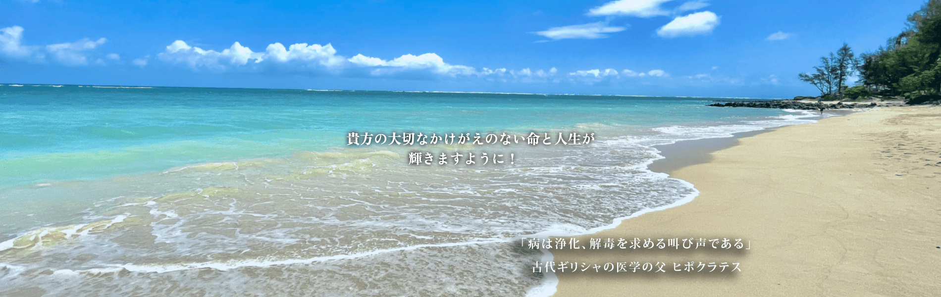 貴方の大切なかけがえのない命と人生が輝きますように！